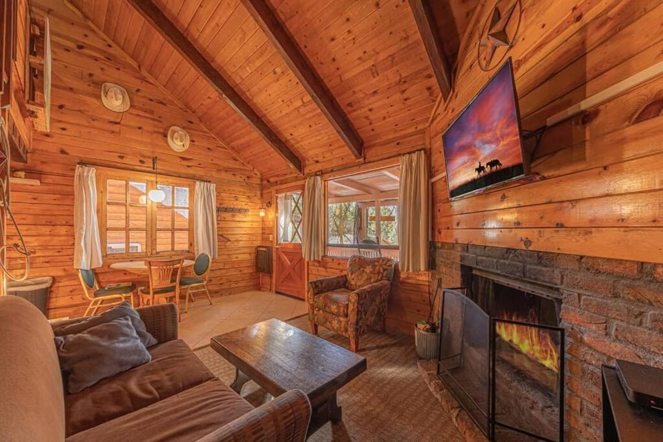 Forest Cabin 4 Cowboys Dream Cabin in Gila County
