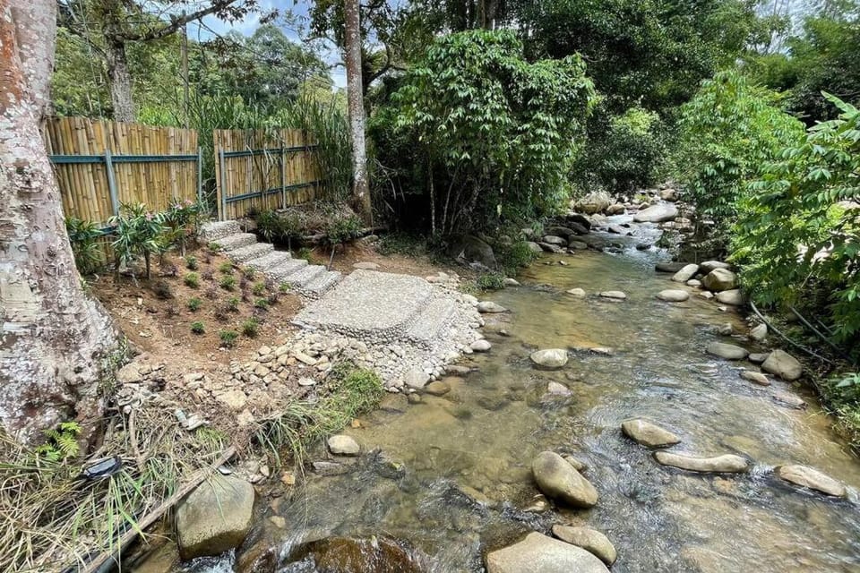 River view