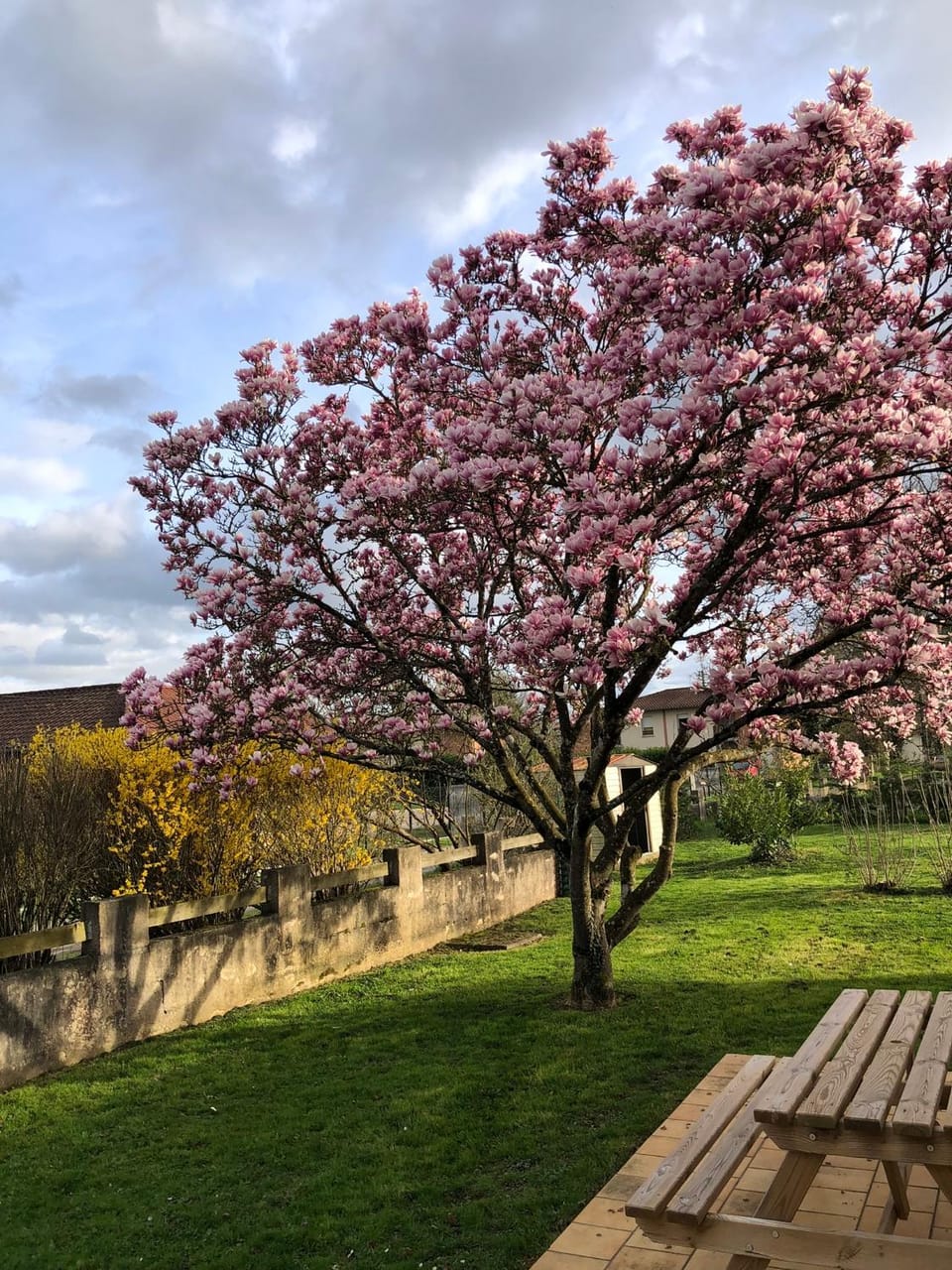 Parc de la Charmille Bed and Breakfast in Auvergne-Rhône-Alpes