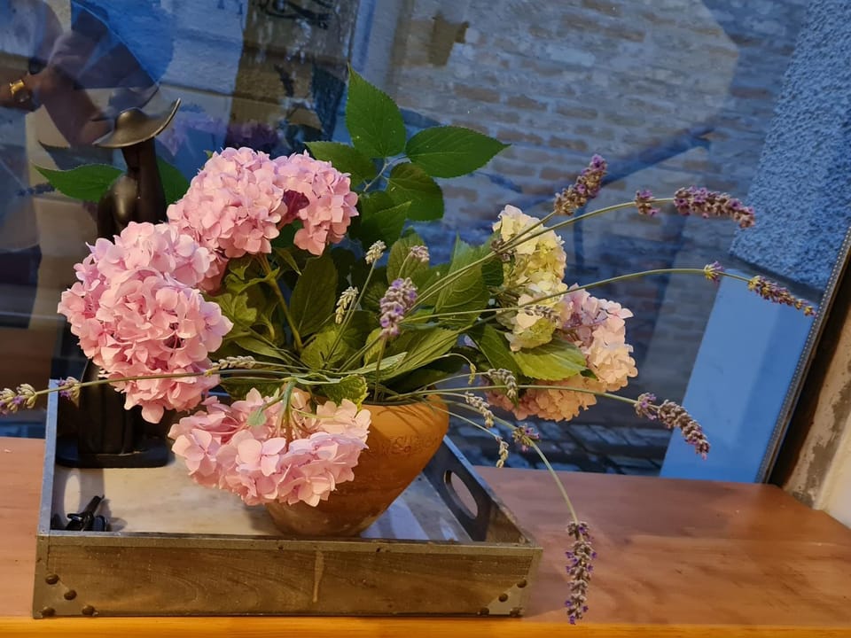Garden Center Apartment Apartment in Novi Sad