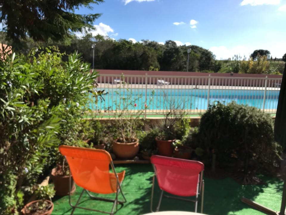 Garden, Pool view, sunbed