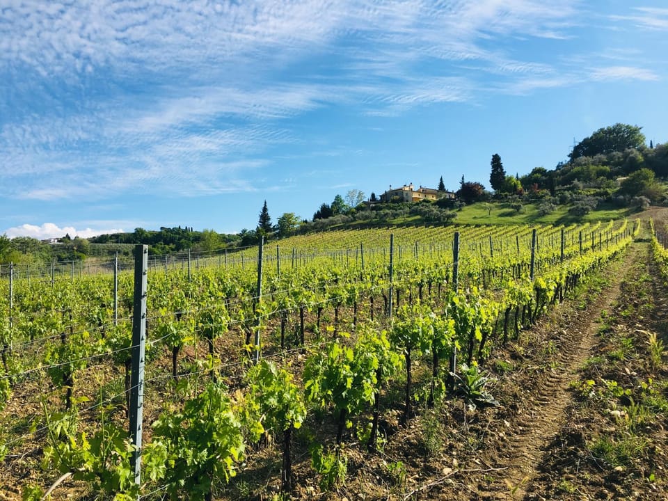 Natural landscape, Hiking