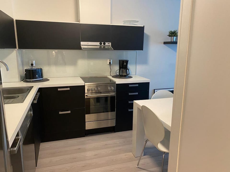 Style 1BR with sauna,Tornio city Apartment in Norrbotten County, Sweden