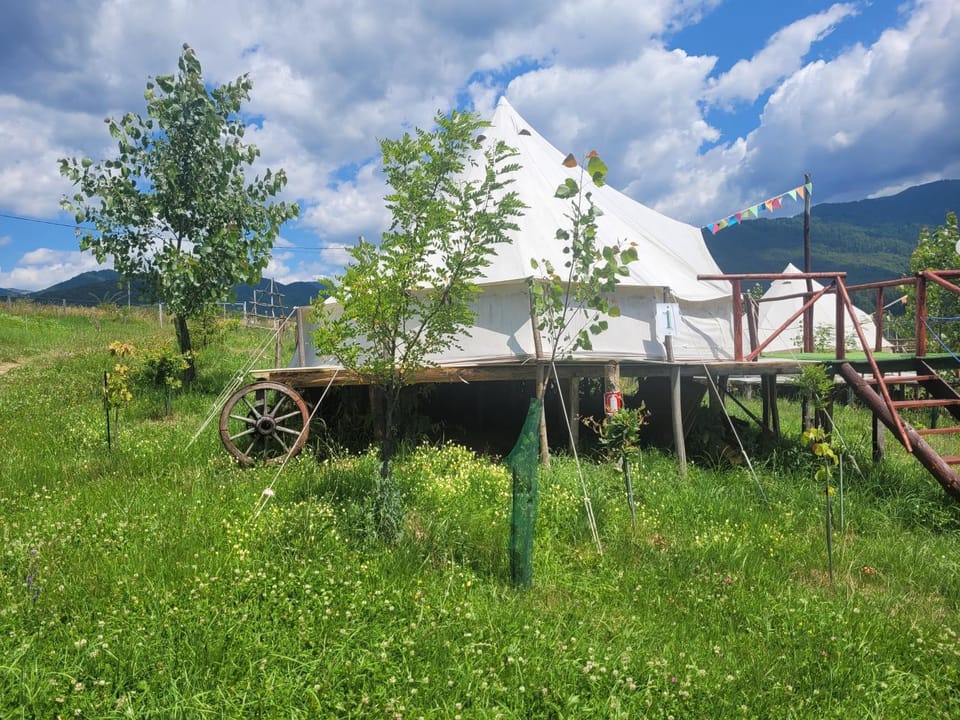 Nucsoara Glamping Cozy Luxury tent in Romania