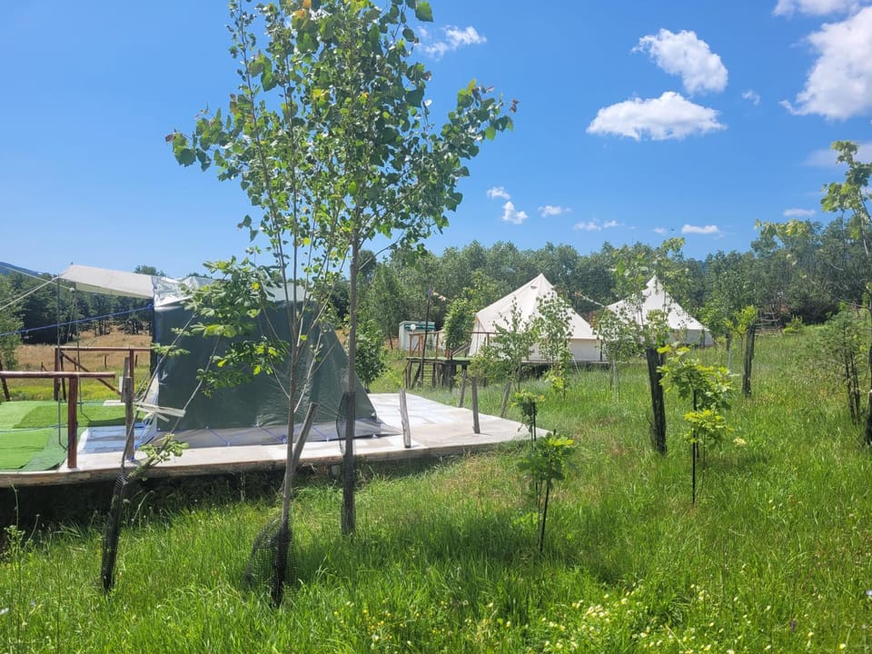 Nucsoara Glamping Cozy Luxury tent in Romania