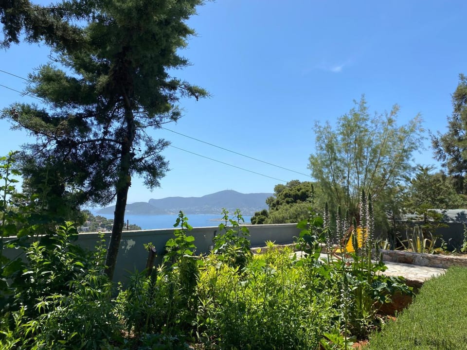 Garden, Garden view, Sea view