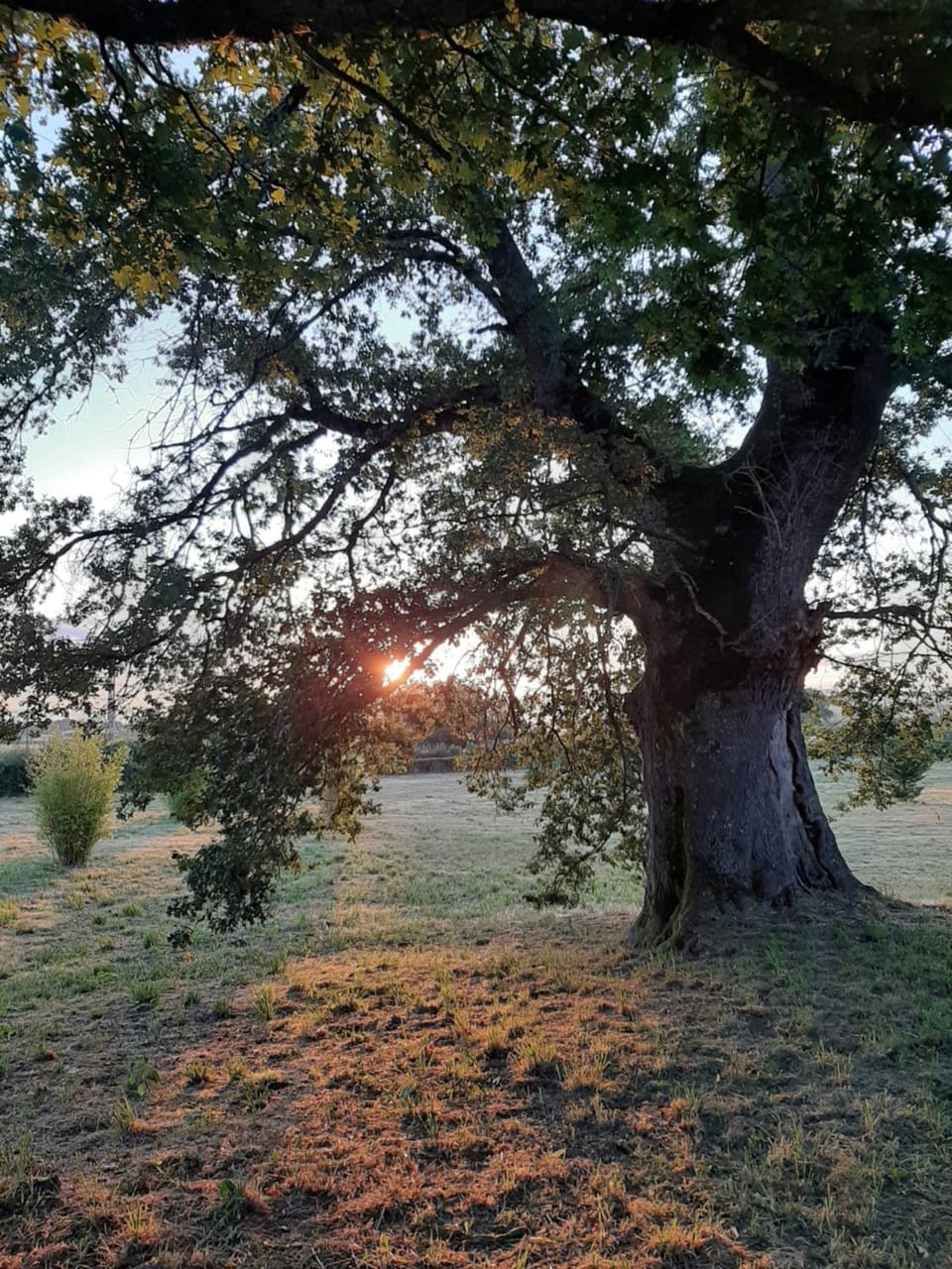 Natural landscape
