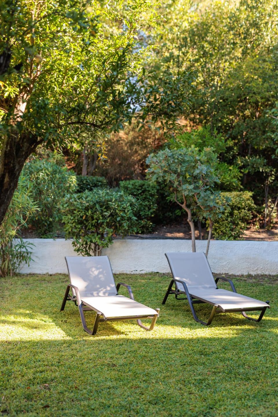 Day, Garden, Garden view, sunbed