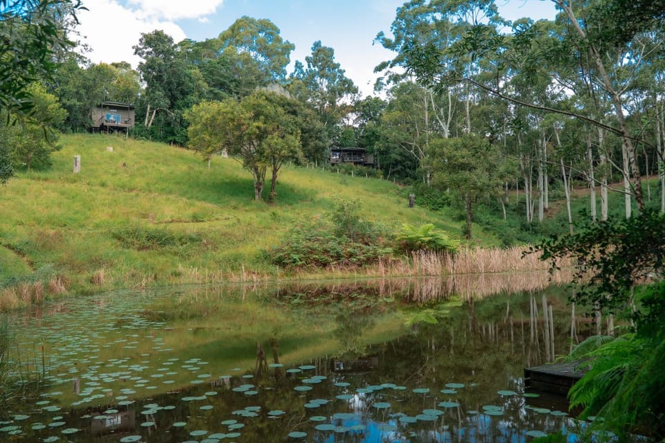 Lake view