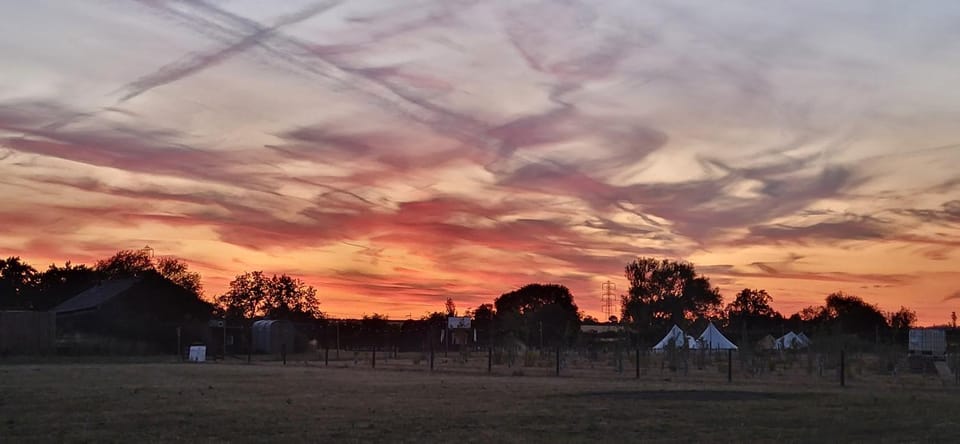 BrackenXcapes Glamping Campground/ 
RV Resort in Newark and Sherwood District