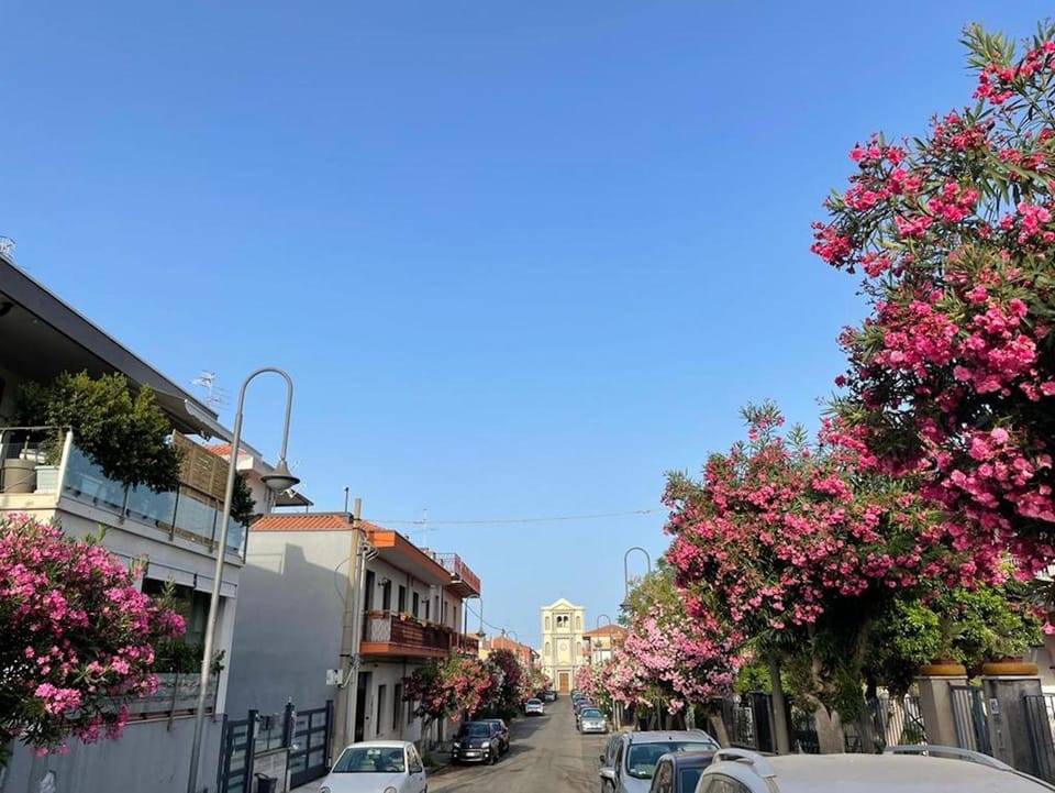 Spring, Day, Neighbourhood, Place of worship, City view, Street view, Location, Parking