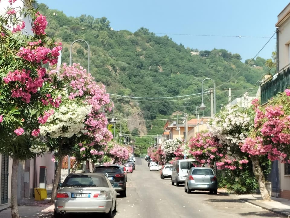 Spring, Day, Neighbourhood, Natural landscape, Mountain view, Street view, Location, Parking