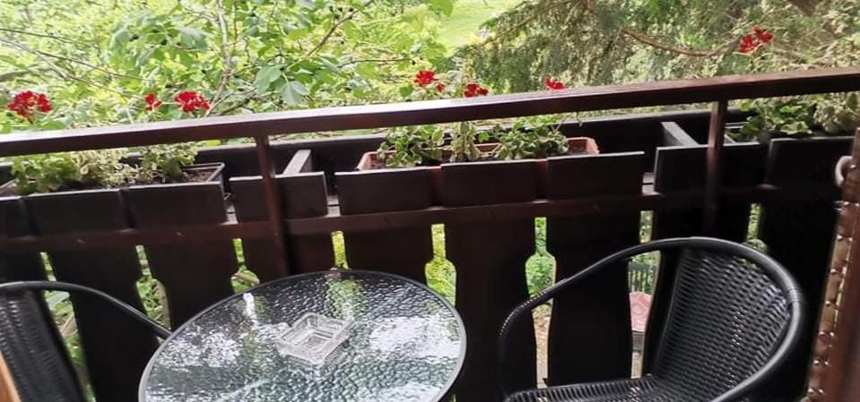 Balcony/Terrace, Garden view