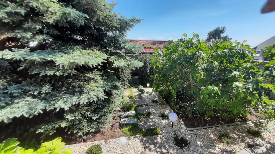 Garden, Garden view