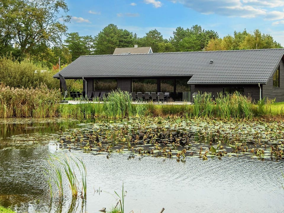 Lake view