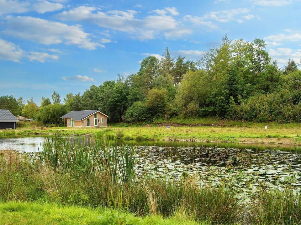 Lake view