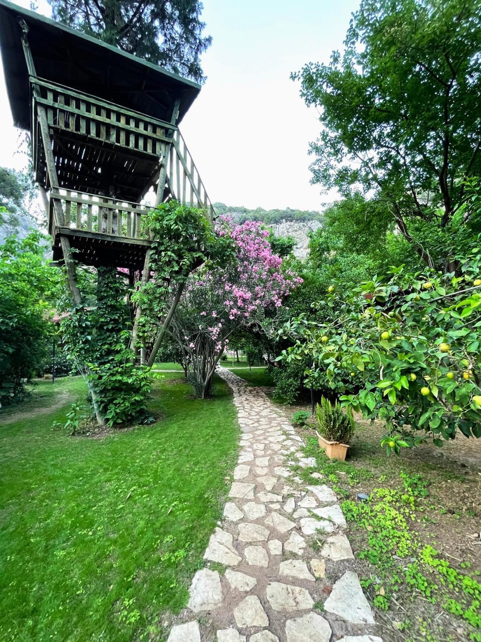 Natural landscape, Garden