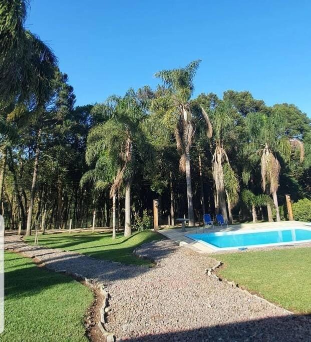 Natural landscape, Garden, Garden view, Pool view, Swimming pool