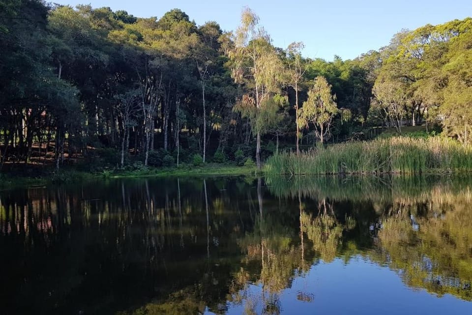 Natural landscape, Lake view