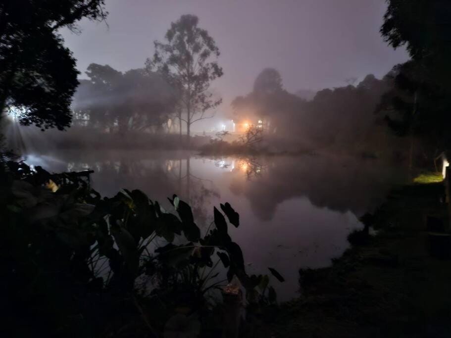 Natural landscape, Lake view