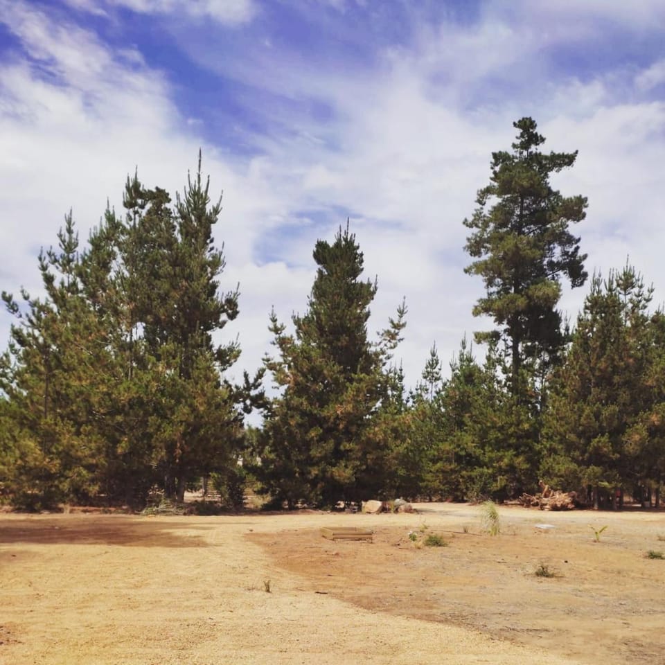 Natural landscape