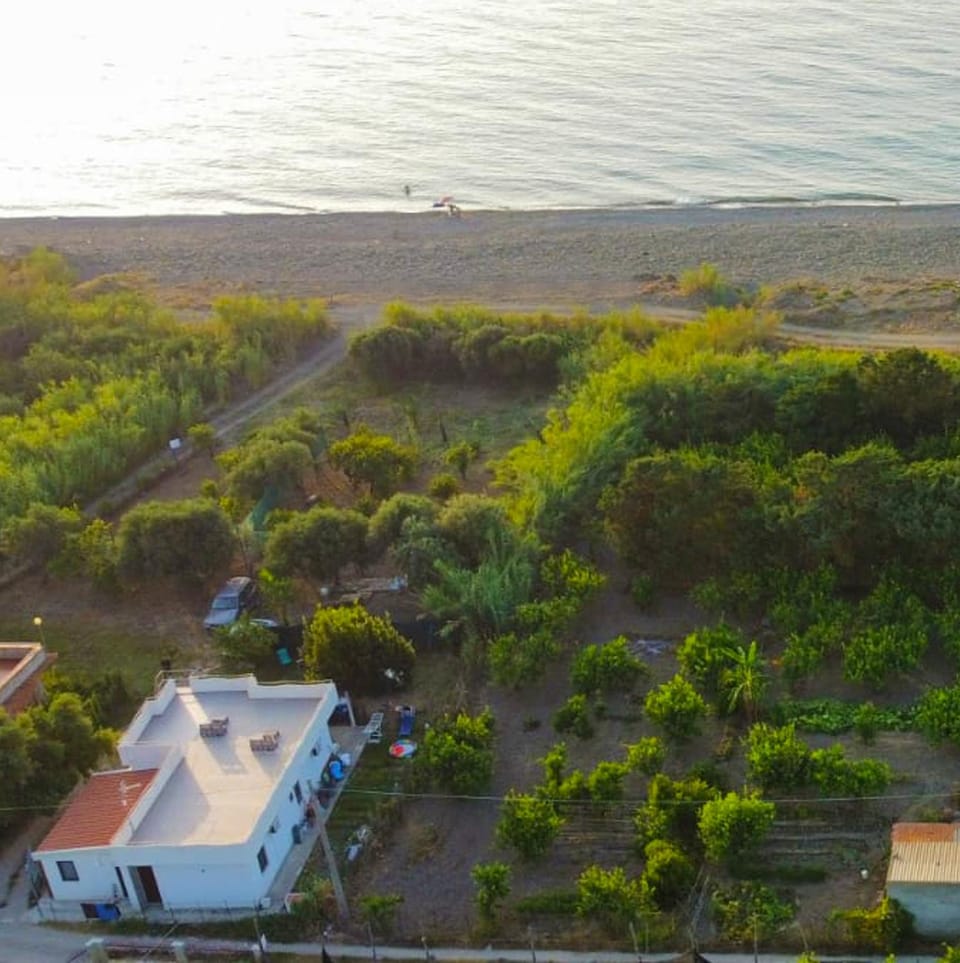 Spring, Day, Natural landscape, Bird's eye view, Balcony/Terrace, Sea view