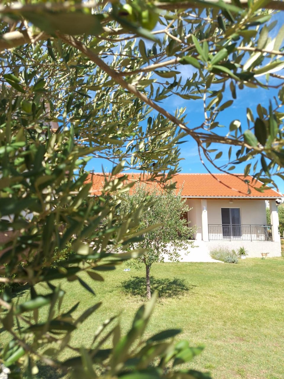 Cvita & Gabi - kuća za odmor House in Zadar County