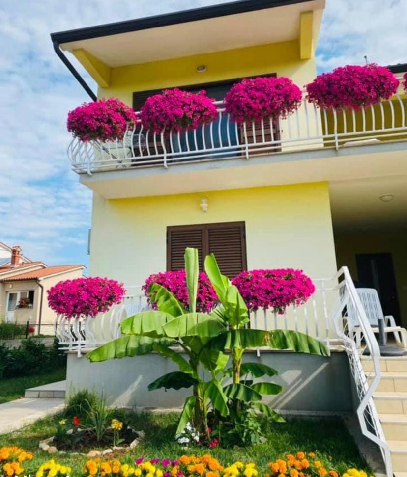Apartments Mišon Apartment in Istria County