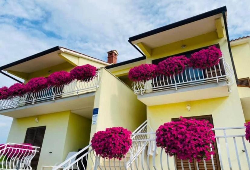 Apartments Mišon Apartment in Istria County