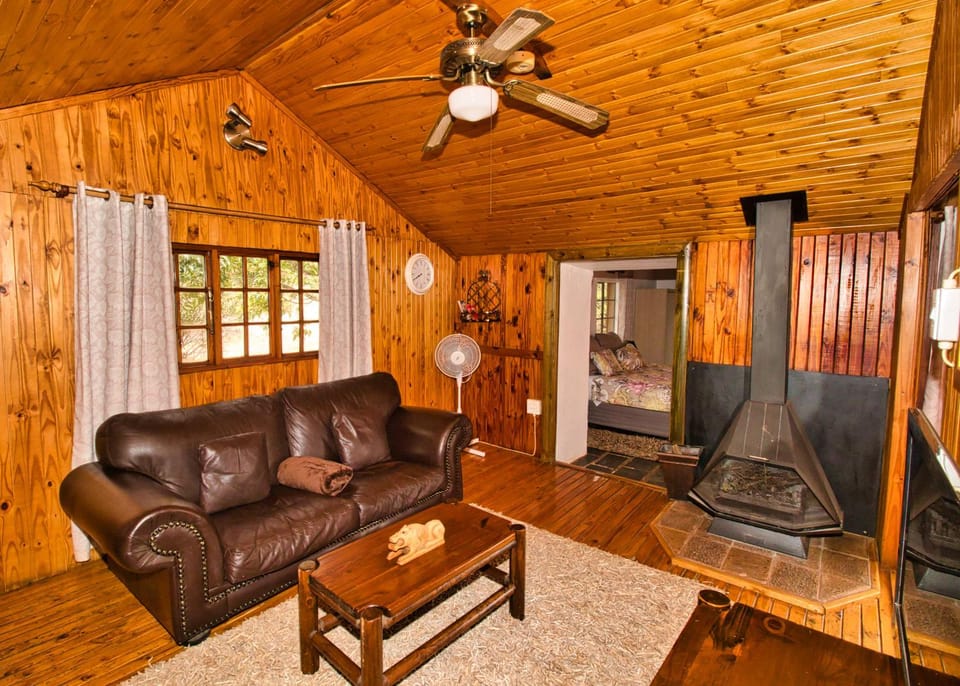 Living room, fireplace