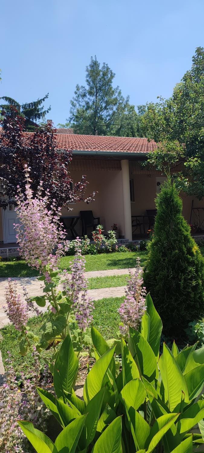 Property building, Balcony/Terrace, Garden view
