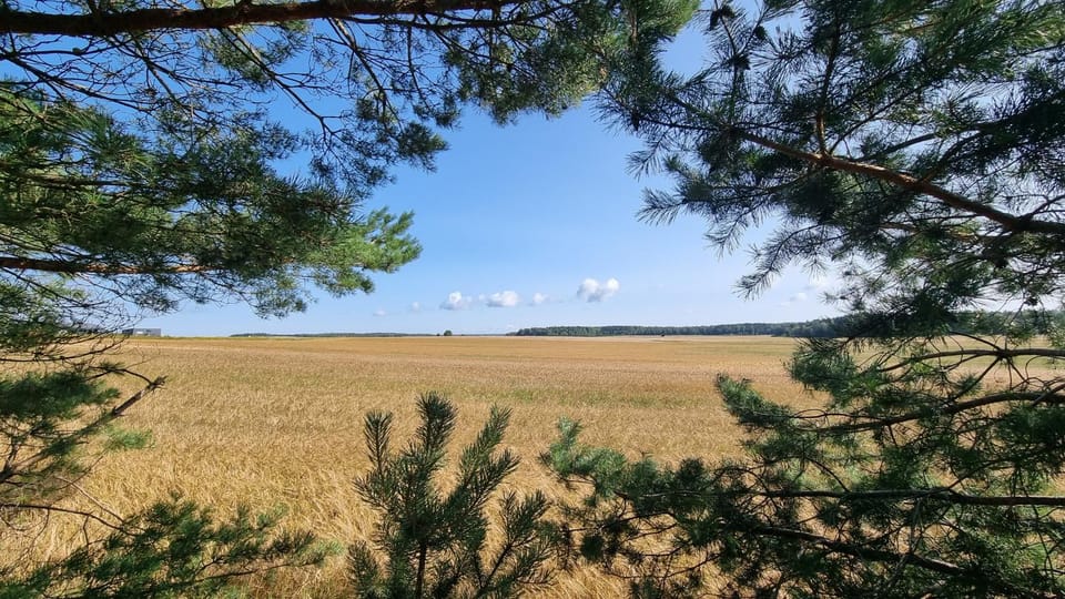 Natural landscape