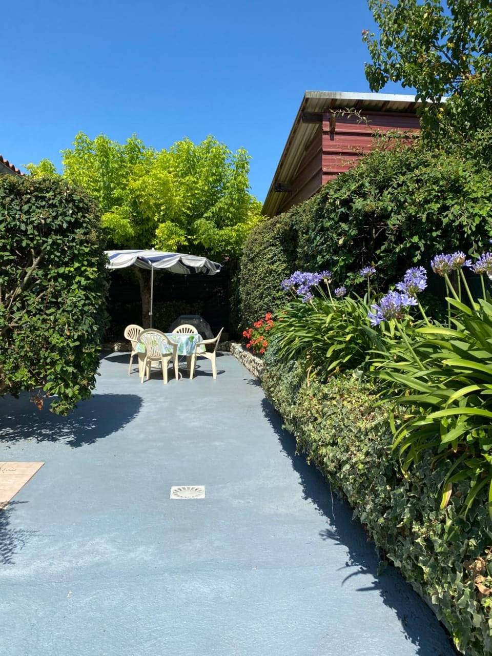 Patio, Garden, Garden view