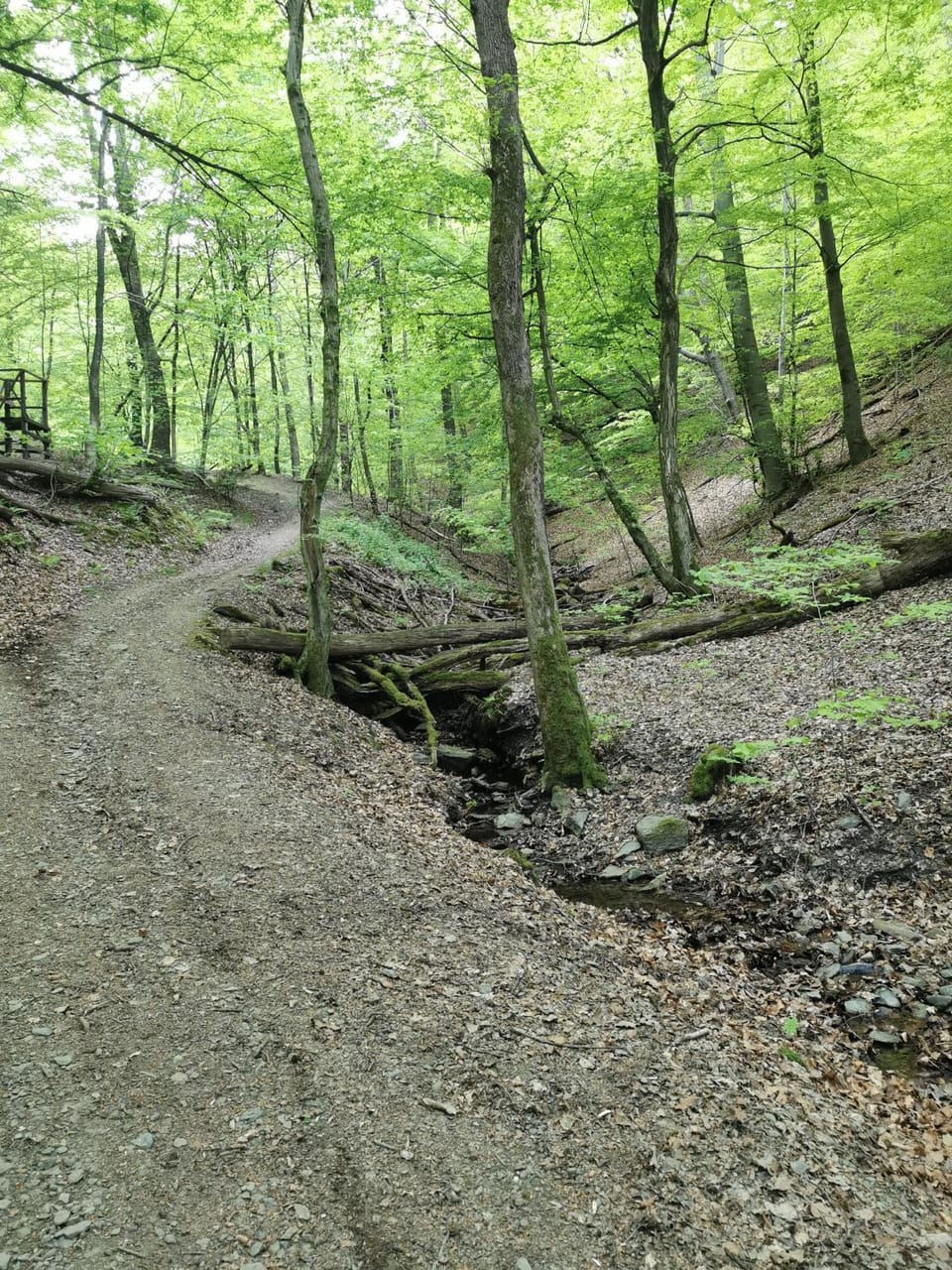 Natural landscape