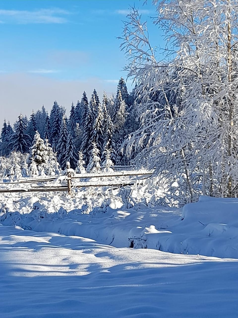 Day, Natural landscape, Winter, Mountain view