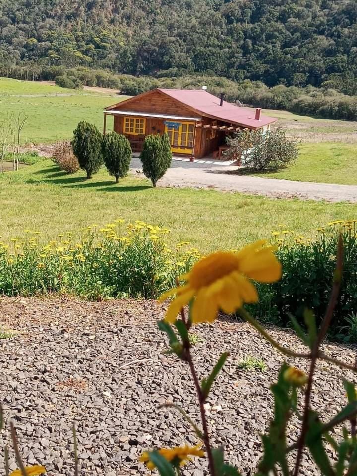 casa de Campo pousada Vila das Borboletas House in State of Santa Catarina