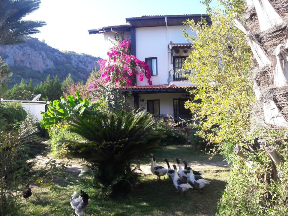 Facade/entrance, Garden view
