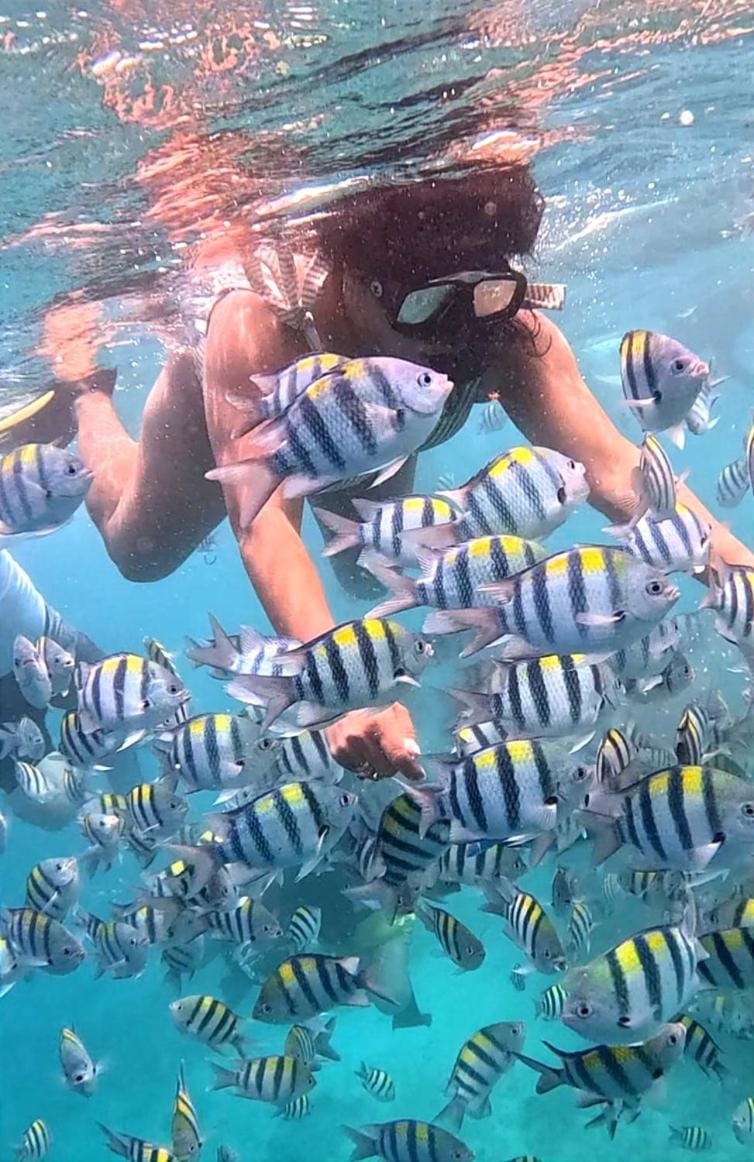Gili Mesari Cottages & Homestay Vacation rental in Pemenang