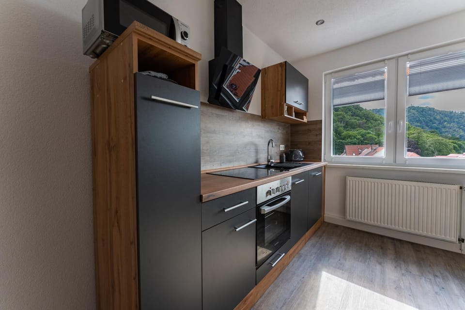 Kitchen or kitchenette, oven, stove