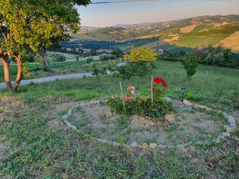 Garden, Garden view