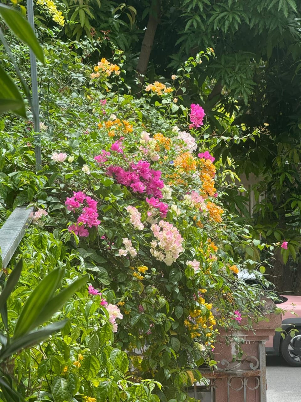 Khách sạn AMI Hotel in Laos
