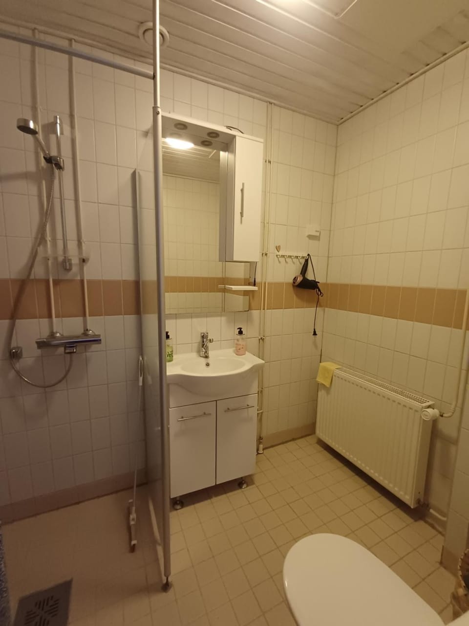 Shower, Toilet