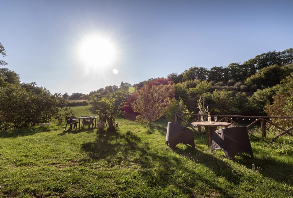 Natural landscape, Garden, Garden view