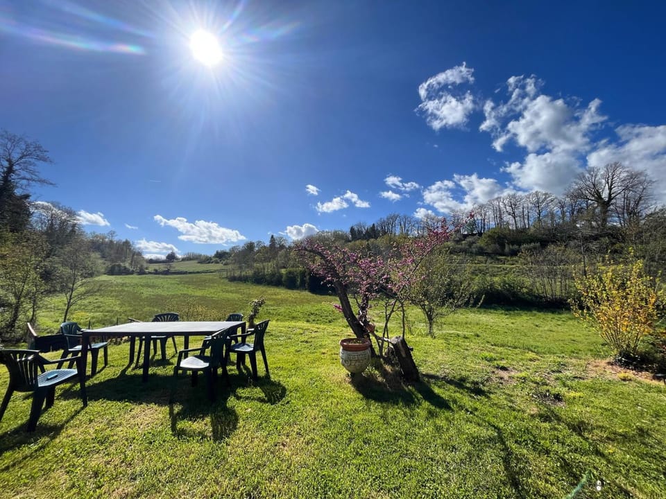 Day, Summer, Garden, Garden view