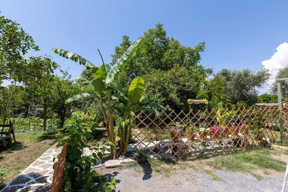 Bougainvillea house with private garden Apartment in Messenia