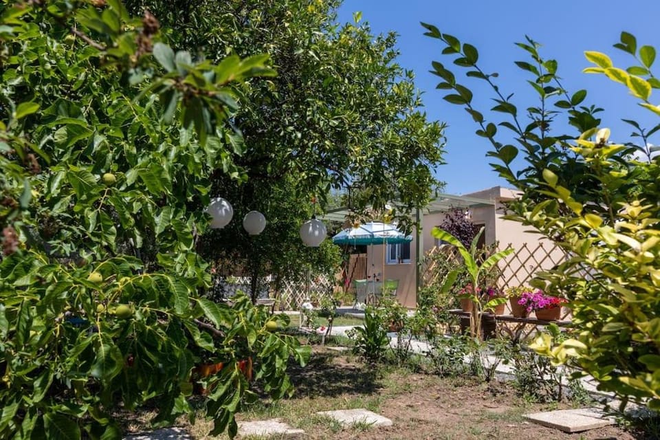Bougainvillea house with private garden Apartment in Messenia