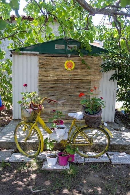 Bougainvillea house with private garden Apartment in Messenia