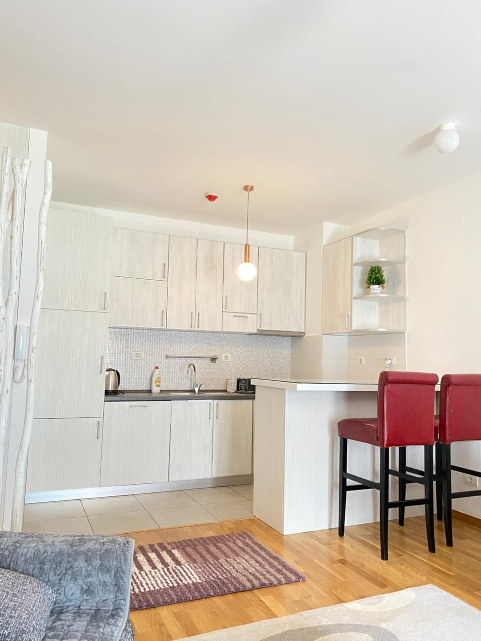 Apartman Vesna City 2. PG Apartment in Podgorica