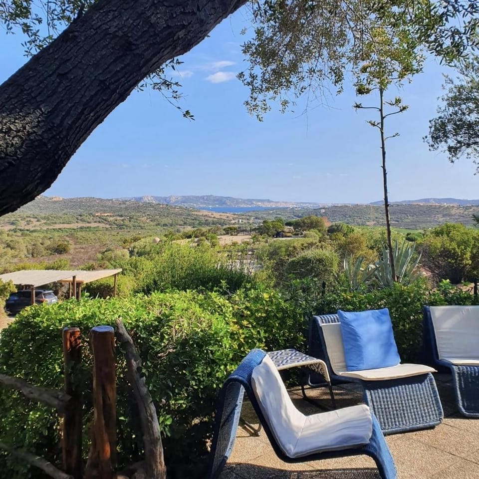 Natural landscape, Garden view