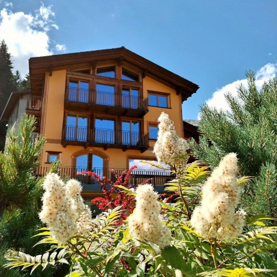 Property building, Spring, Garden, Garden view